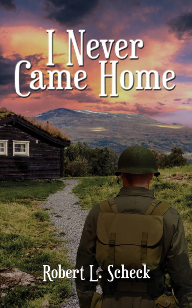 FRONT COVER OF I Never Came Home image