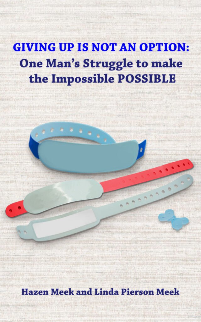 Front Cover of Giving Up Is Not an Option: One Man’s Struggle to Make the Impossible Possible