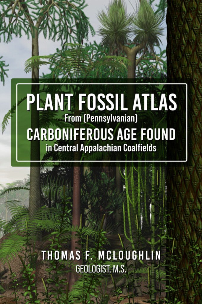 Front Cover of Plant Fossil Atlas From (Pennsylvanian) Carboniferous Age Found in Central Appalachian Coalfields