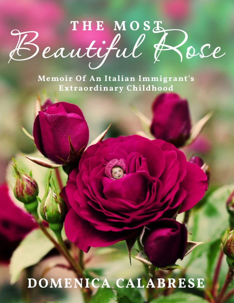 Front Cover of The Most Beautiful Rose: Memoir Of An Italian Immigrant’s Extraordinary Childhood