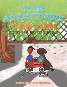 Front Cover of The Adventures of Snook & Gator: Snook’s Cool Idea for A Hot Day