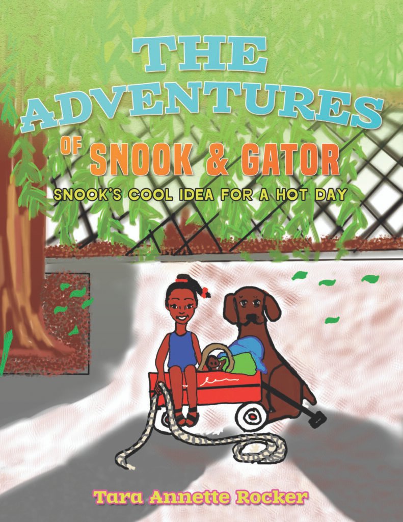 Front Cover of The Adventures of Snook & Gator: Snook’s Cool Idea for A Hot Day