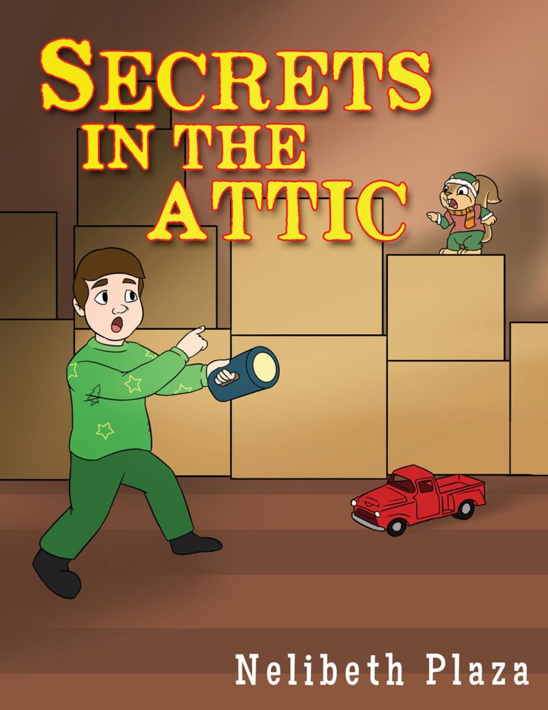 Front Cover of Secrets In The Attic