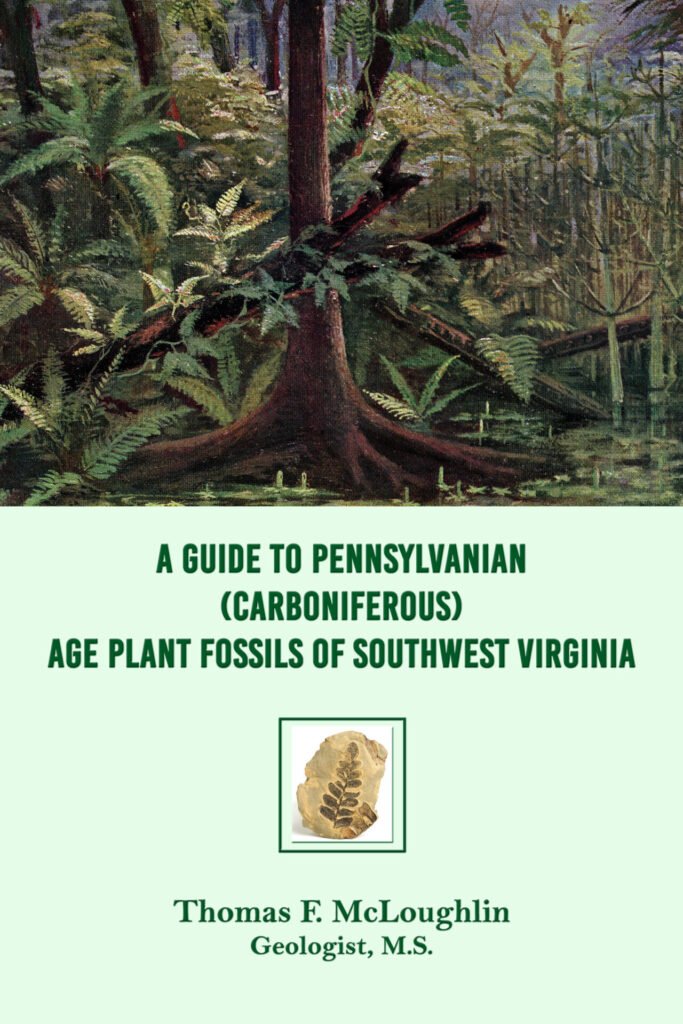 Front Cover of A Guide to Pennsylvanian (Carboniferous) Age Plant Fossils of Southwest Virginia