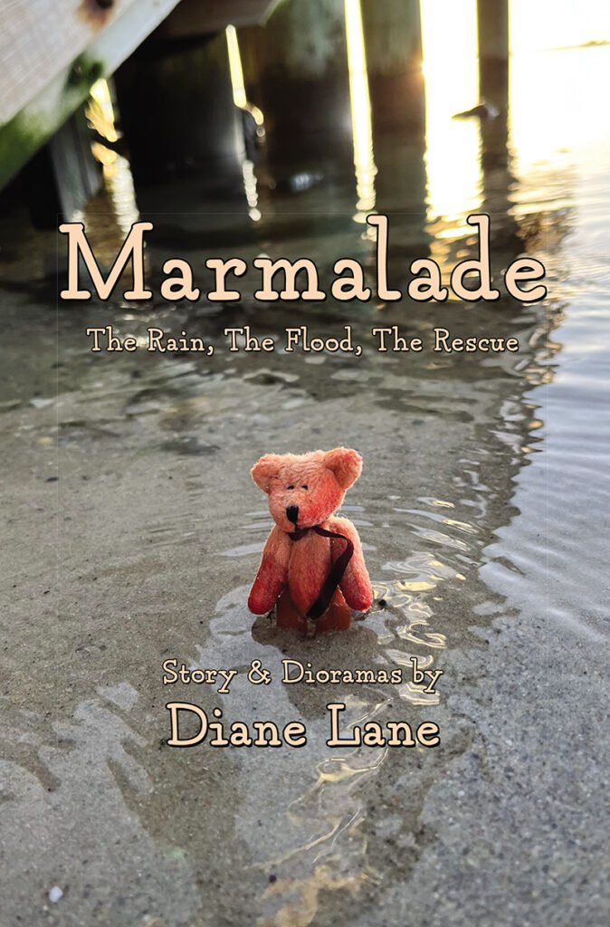 Front Cover of Marmalade: The Rain, The Flood, The Rescue